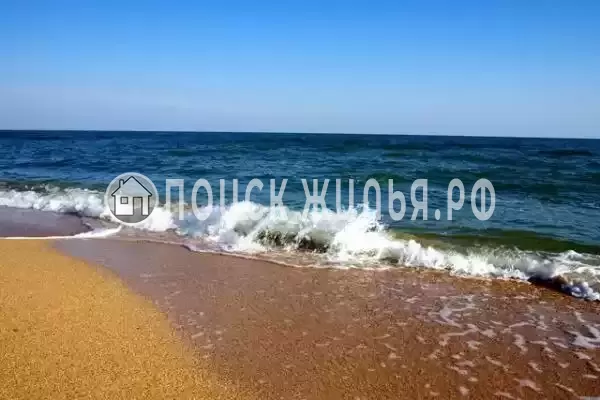 «ТаняСаша», Голубицкая «ТаняСаша», Голубицкая