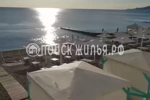 «Жемчуг», Адлер