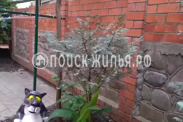 «Alina», Лазаревское