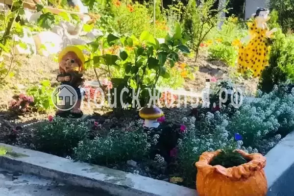 «Оазис», Лермонтово