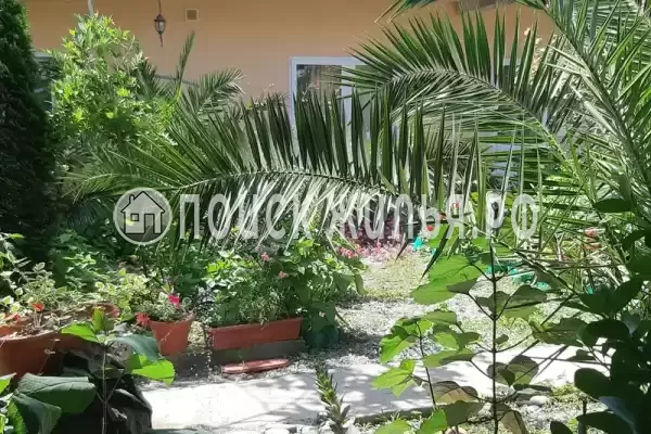 Гостевой дом «Две пальмы», Алахадзы