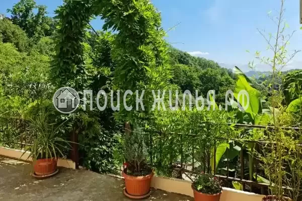 «Маринка», Адлер