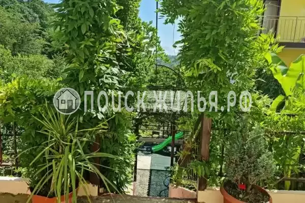 «Маринка», Адлер