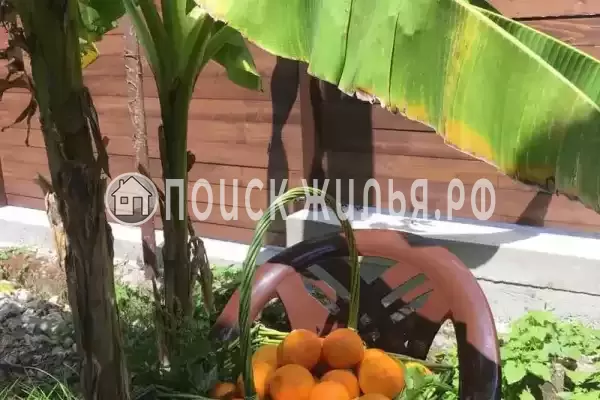 Гостевой дом «SoFitel-GagrA», Гагра