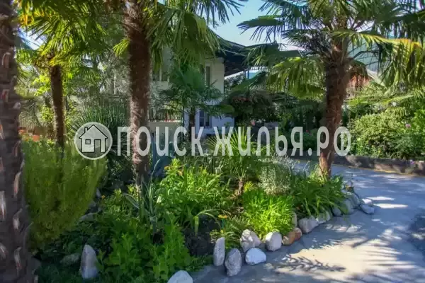 Гостевой дом «Светлана», Гагра