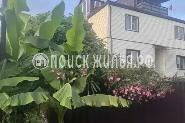 Снять жилье: Частный сектор «Дом», Краснодарский край, Сочи, Лазаревское, Хвойная, д.19 Снять жилье: Частный сектор «Дом», Краснодарский край, Сочи, Лазаревское, Хвойная, д.19