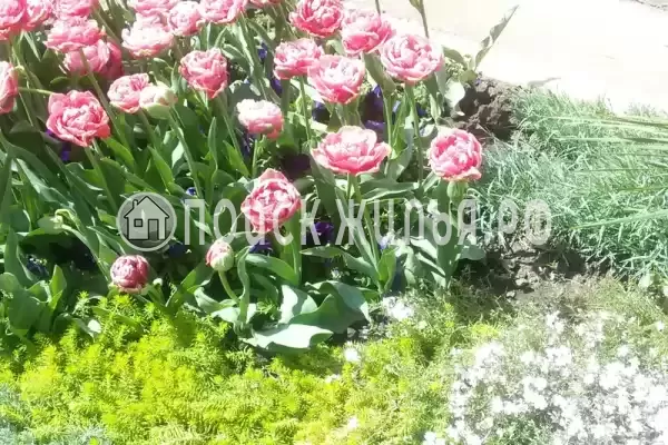 Частный сектор «Надежда», Лазаревское Частный сектор «Надежда», Лазаревское