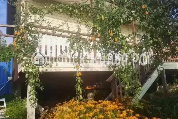 Гостевой дом «Мандариновый рай», Новый Афон