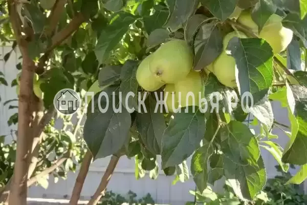 Дом под ключ «С бассейном», Анапа Дом под ключ «С бассейном», Анапа