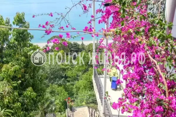 Гостиница «Дача художников», Гагра Гостиница «Дача художников», Гагра