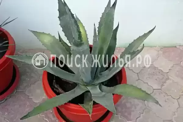 Отель «77», Судак Отель «77», Судак