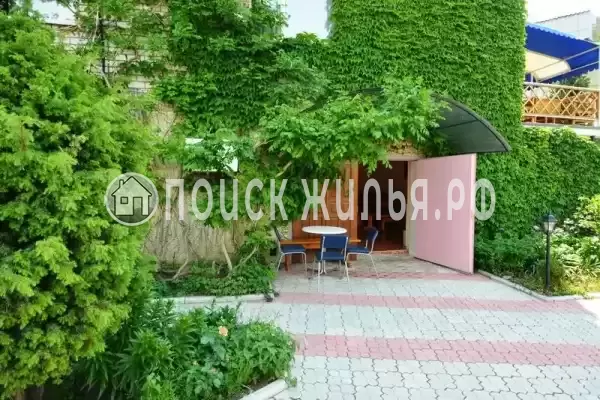 «Елки», Коктебель