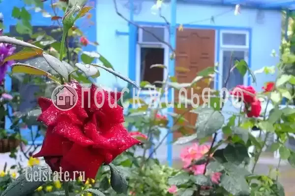 Частный сектор «У Маргариты», Кабардинка Частный сектор «У Маргариты», Кабардинка