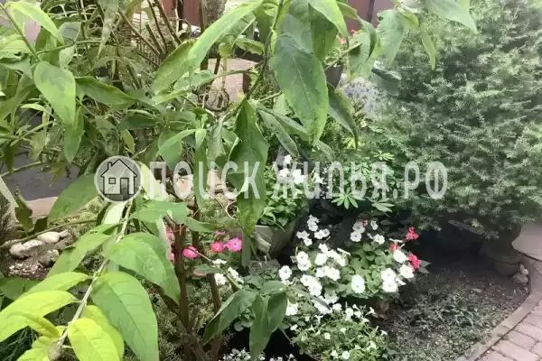 «Гранат», Кабардинка