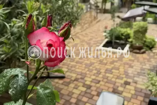 Гостевой дом «Анна», Геленджик