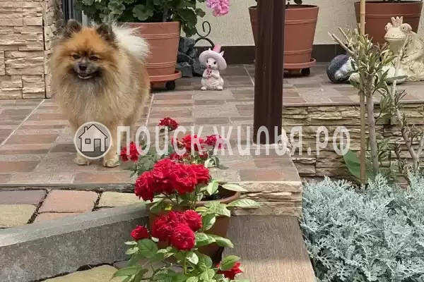 Гостевой дом «Анна», Геленджик