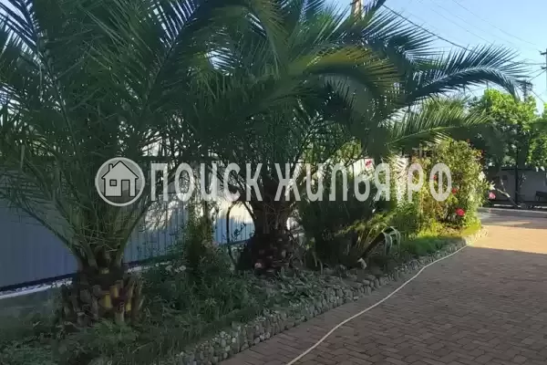 «Лиана», Вардане