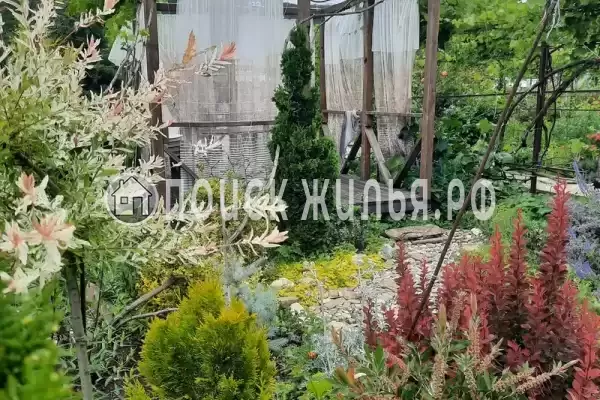 Гостевой дом «Белый Какаду», Береговое Гостевой дом «Белый Какаду», Береговое