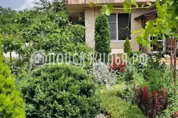 Гостевой дом «Белый Какаду», Береговое Гостевой дом «Белый Какаду», Береговое