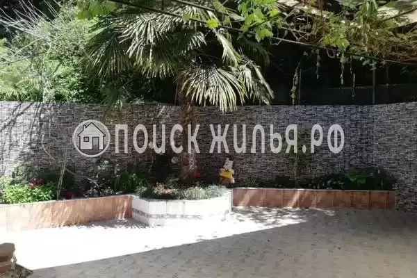 «Нина», Лазаревское