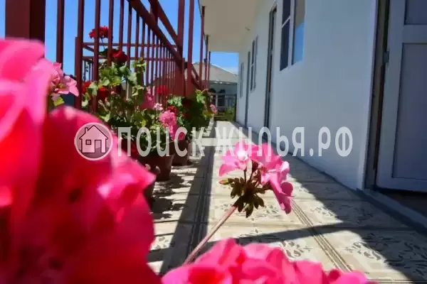 Гостевой дом «Аррива», Республика Абхазия, Цандрипш, Лакоба, д.26