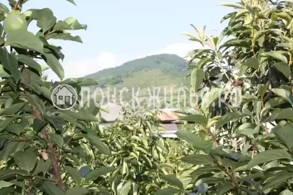 Гостевой дом «Аррива», Цандрипш