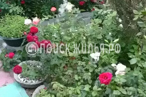 «Южный дворик», Архипо-Осиповка