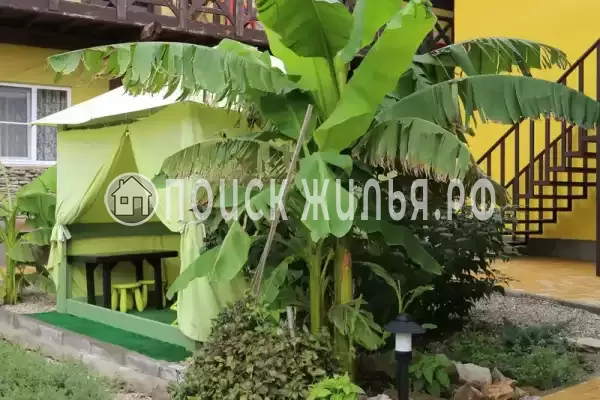 «Верные друзья», Архипо-Осиповка