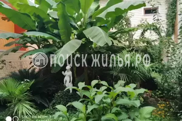 «Райский уголок», Лазаревское