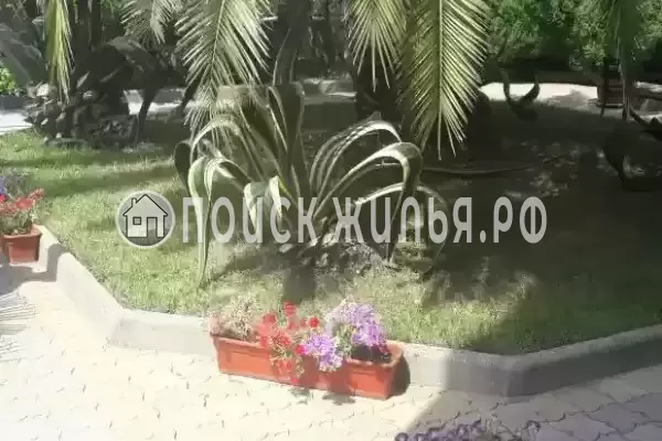 «Натали», Адлер