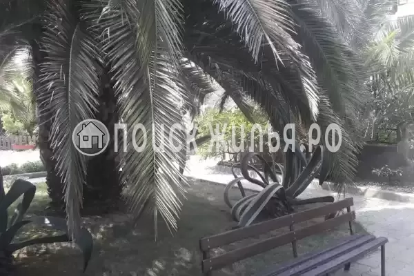 «Натали», Адлер