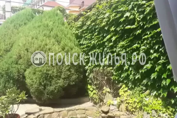 «Натали», Адлер