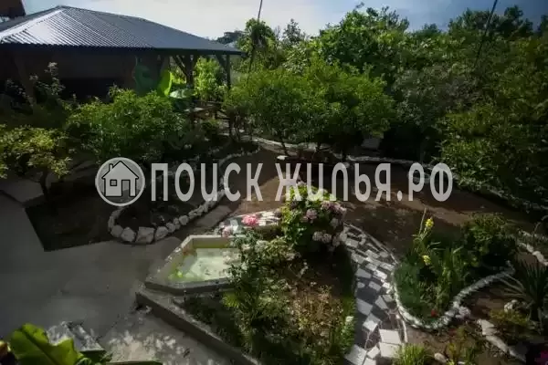 Гостевой дом «Олеандр», Гагра