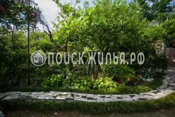 Гостевой дом «Олеандр», Гагра