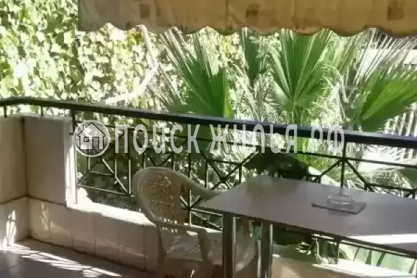 «София», Адлер