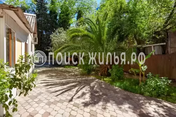 «София», Адлер