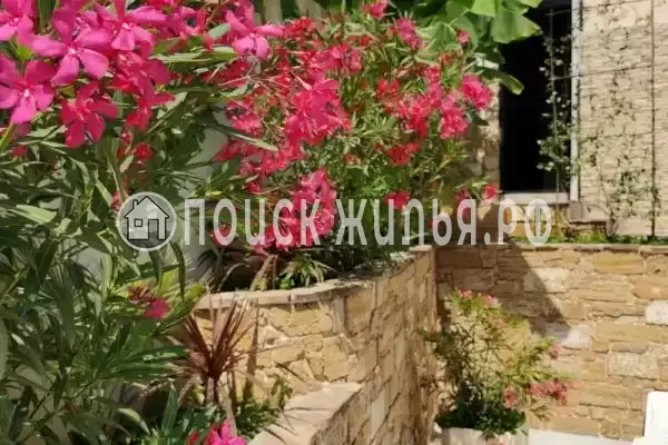 «Юник», Адлер «Юник», Адлер