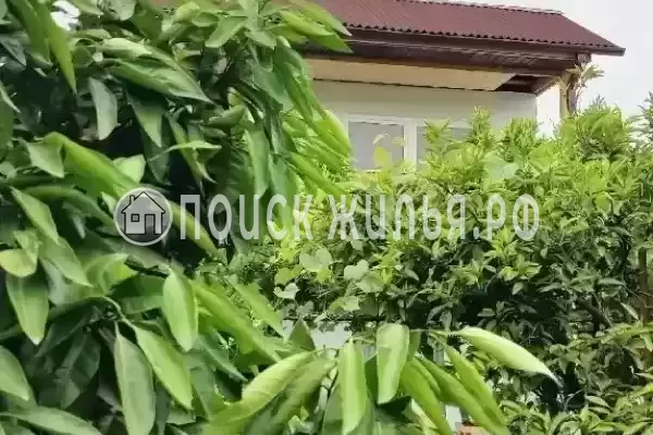 Гостевой дом «Бригантина», Лдзаа