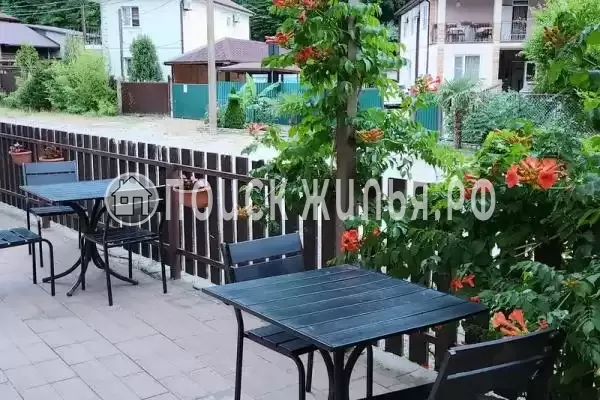 «АLina», Ольгинка