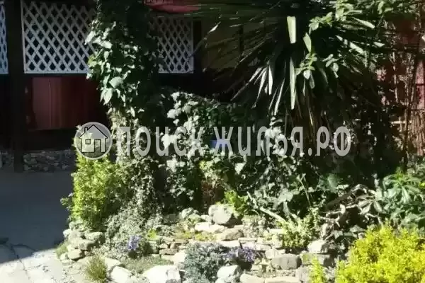 «Вероника», Волконка