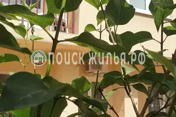 «Айрита», Лазаревское