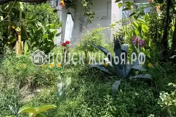 «Над аквалоо», Лоо