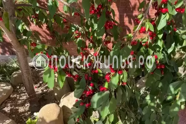 Гостевой дом «Регион 174», Кабардинка