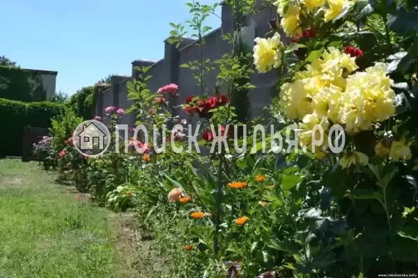 Частный сектор «Солнечный домик», Николаевка Частный сектор «Солнечный домик», Николаевка