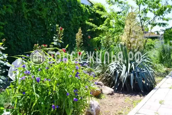 Частный сектор «Солнечный домик», Николаевка Частный сектор «Солнечный домик», Николаевка