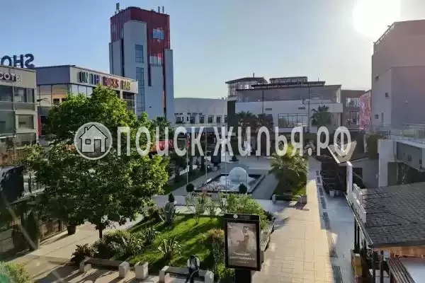 «Крокус», Адлер «Крокус», Адлер