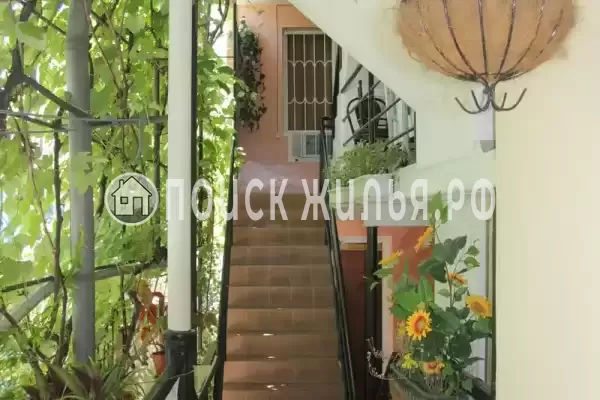 «Алена», Лазаревское