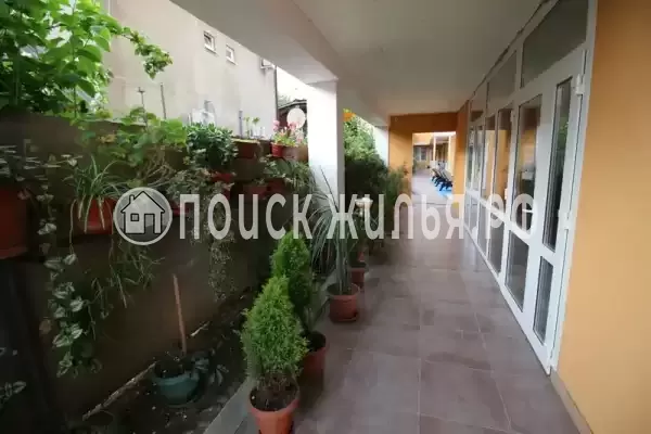 «Михаил», Адлер