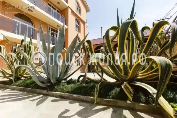 Отель «Джульетта», Адлер