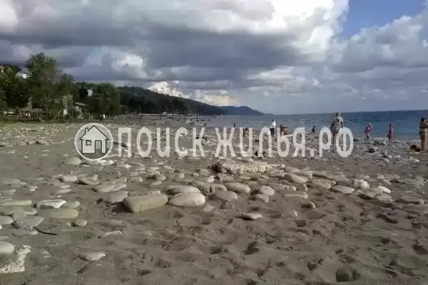 «Поэт», Лазаревское